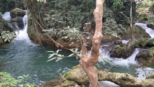 Detian Transnational Waterfall Scenic Area