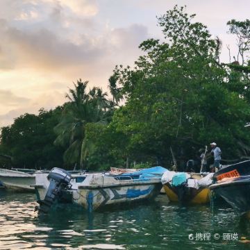 斯里兰卡5日4晚私家团