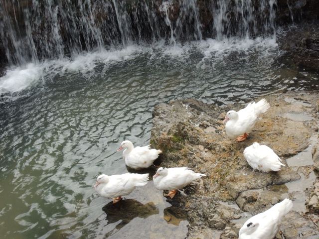 Tianluokeng Tulou Cluster