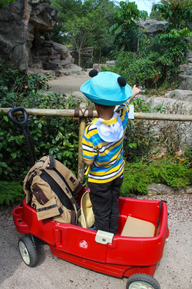 Singapore Zoo