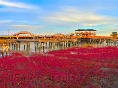 营口+盘锦两日游