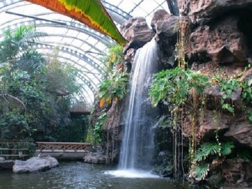 天津热带植物观光园