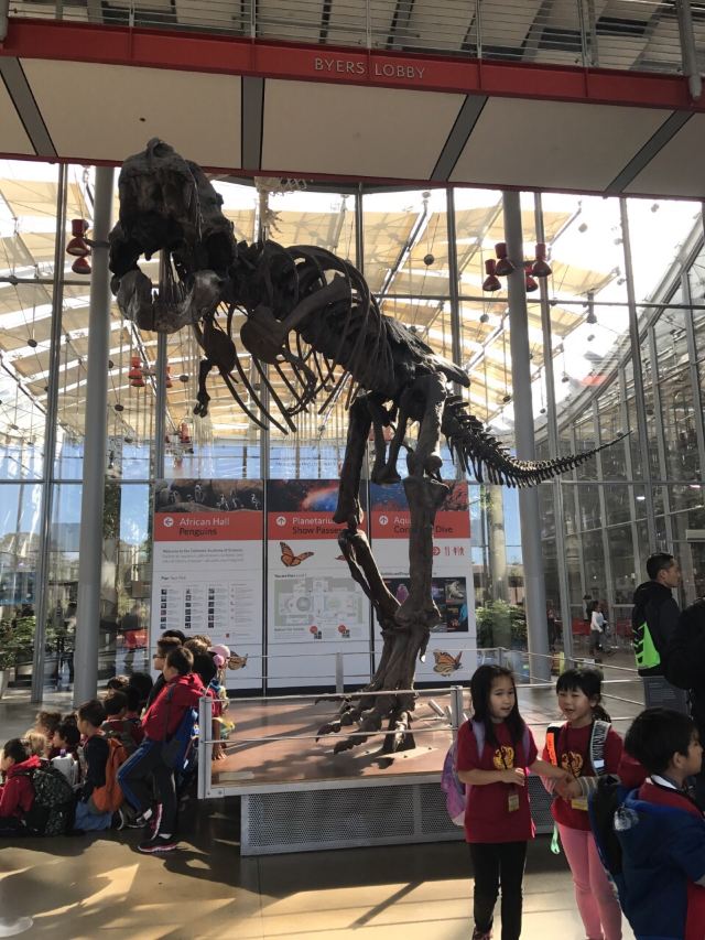 California Academy of Sciences