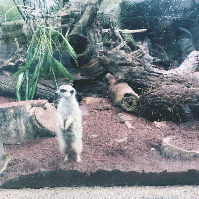 Melbourne Zoo