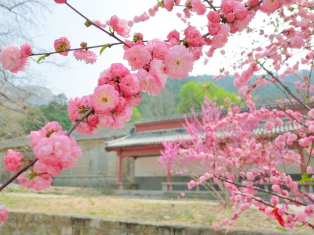 링옌사