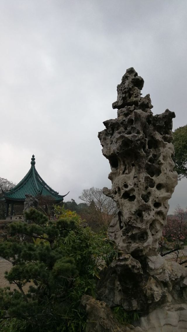 매원