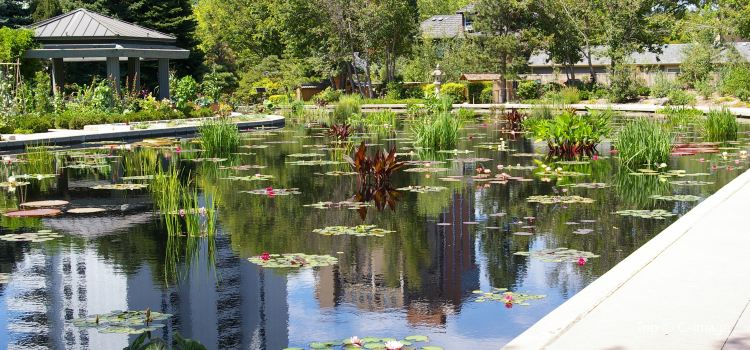 Denver Botanic Gardens Tickets Deals Reviews Family Holidays