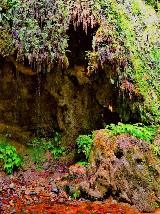 Nanjiang Canyon