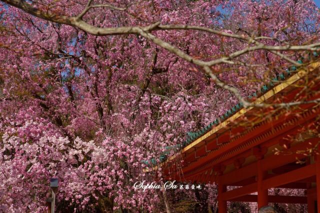 平安神宮