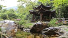 雁南飞茶田景区-桥溪古韵-梅州-doris圈圈