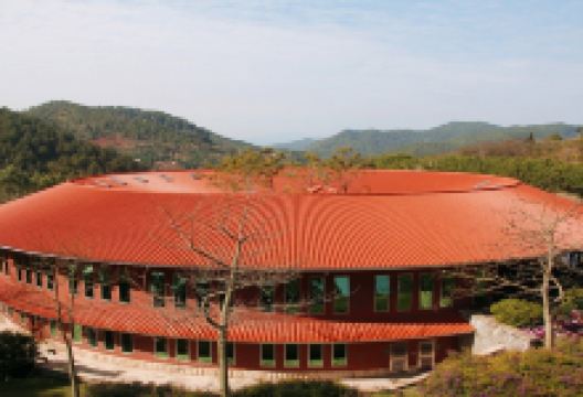 雁南飞茶田度假村旅游图片-客家梅州，闲情2日游