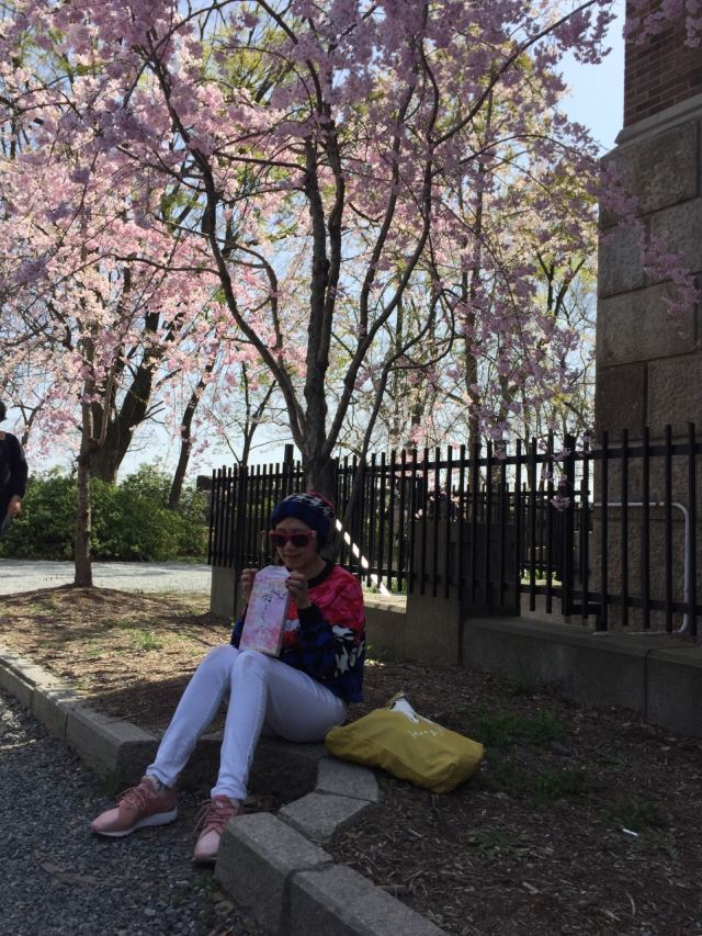 Osaka Castle Park