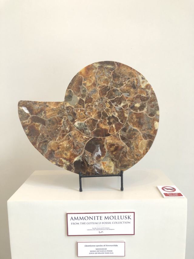 National Museum of Fine Arts