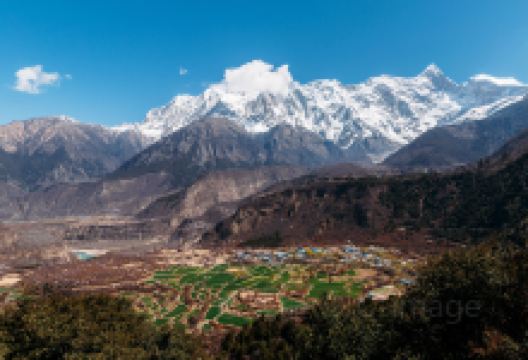 嘎拉桃花村景点图片