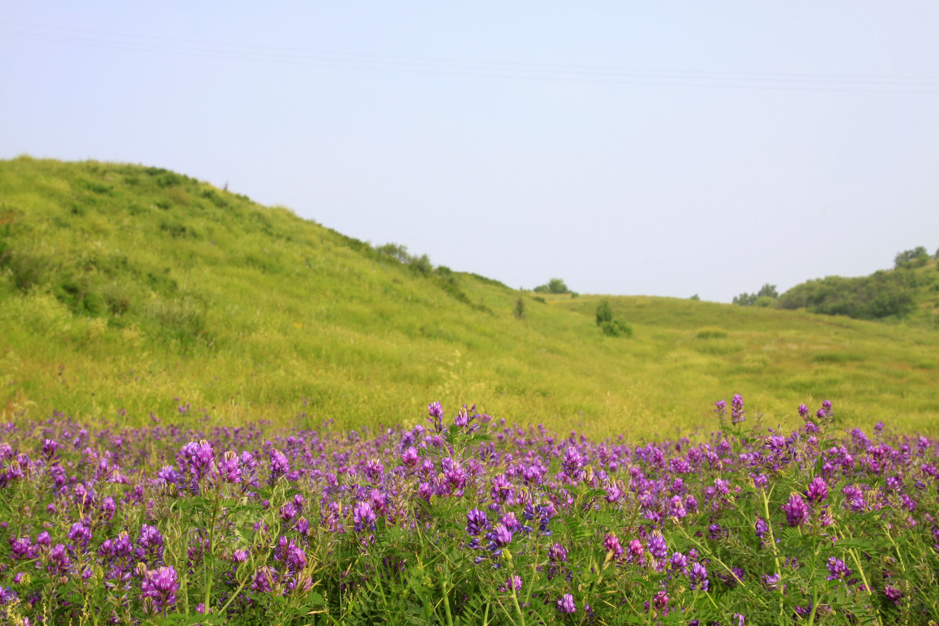 吐力根天堂草原漂流