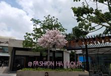 Fashion Harbour购物图片