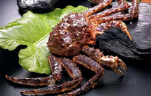 蟹之国·精品蟹料理(极地店)餐厅图片