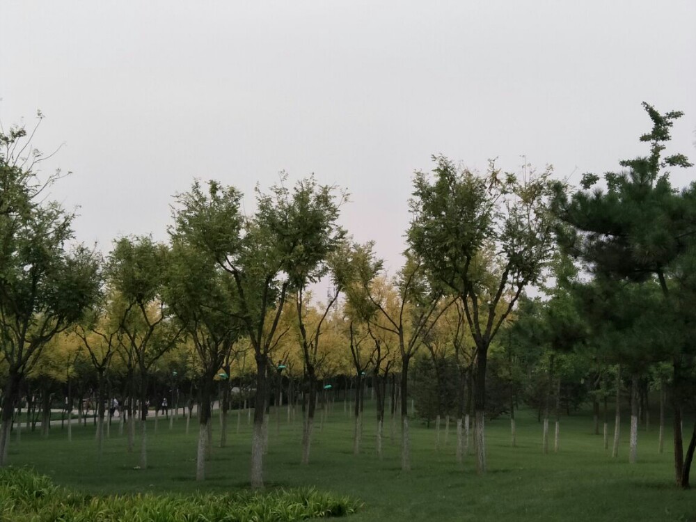 长阳公园