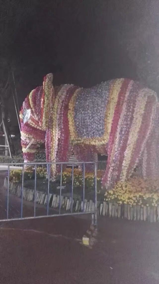 温州楽園