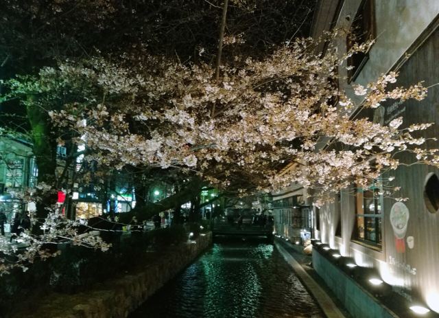Kiyamachi Street