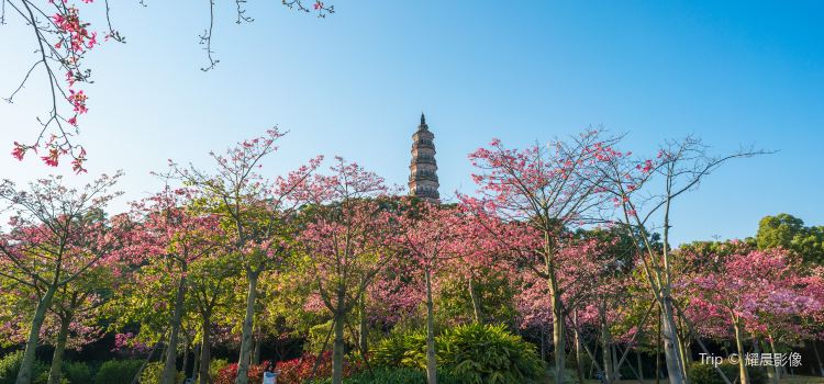 Shunfeng Mountain Park Tickets Deals Reviews Family - 