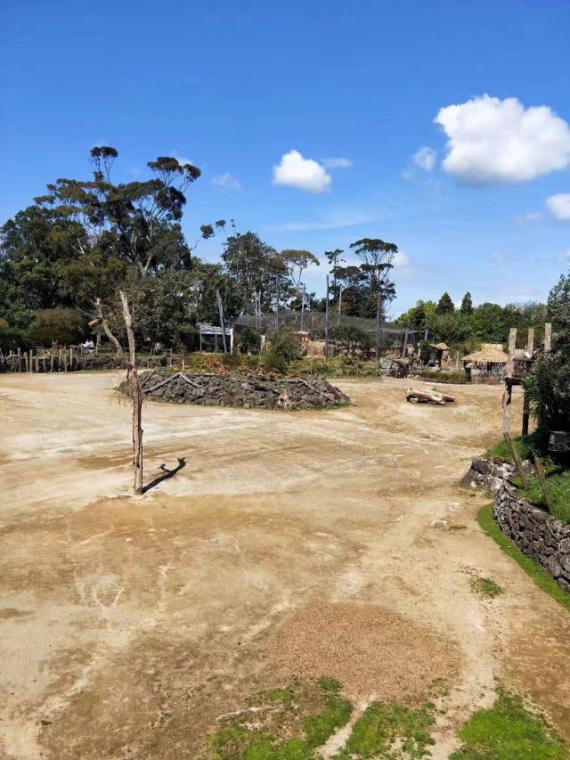 Auckland Zoo