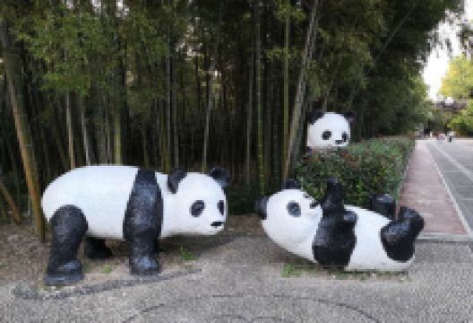 孝丰镇旅游图片-林海竹韵，自驾放松1日游