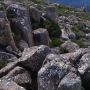 威靈頓山