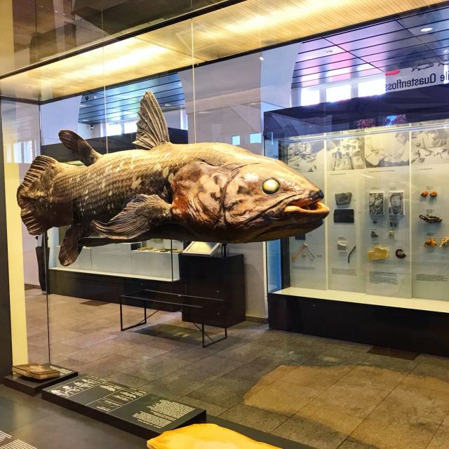 Zoological Museum