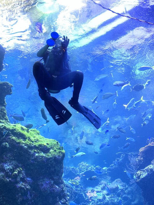 California Academy of Sciences