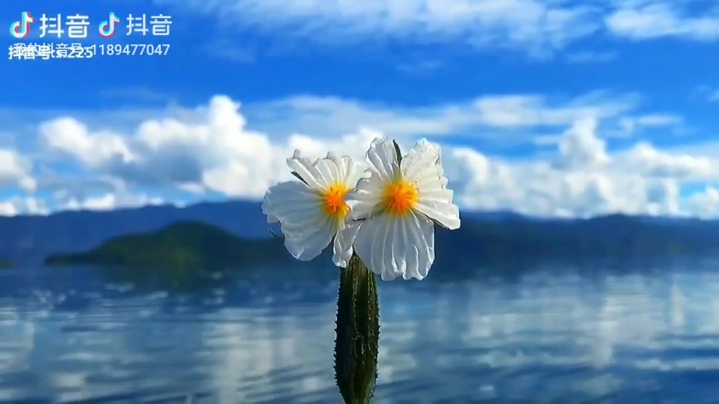 梦幻泸沽湖