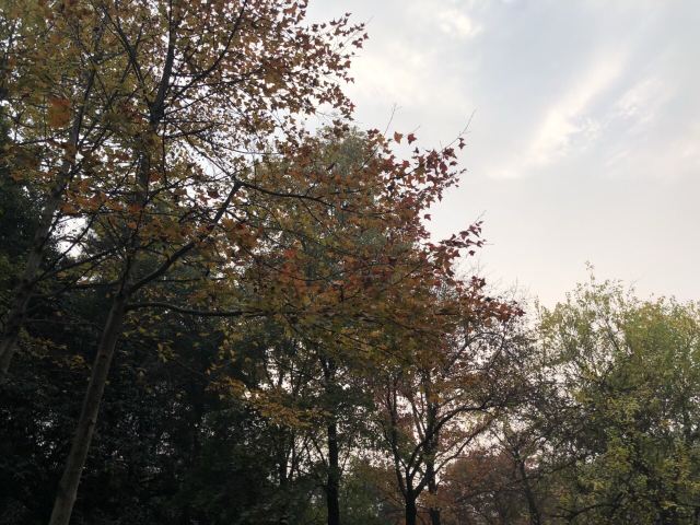 남교공원