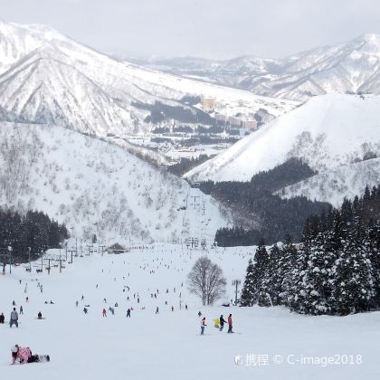 日本东京+Yuzawa Kogen汤泽高原滑雪场+GALA汤泽滑雪场6日5晚私家团