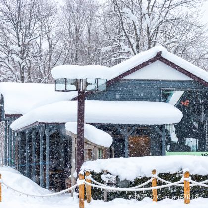 日本北海道6日自由行