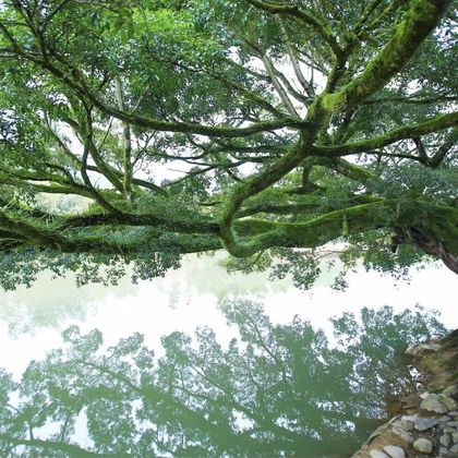 云水谣景区一日游