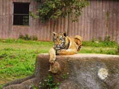 平南休闲观光1日游