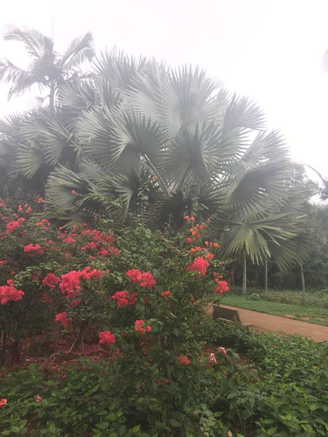 Jinniuling Park