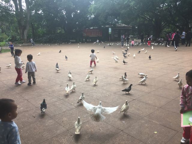 Jinniuling Park