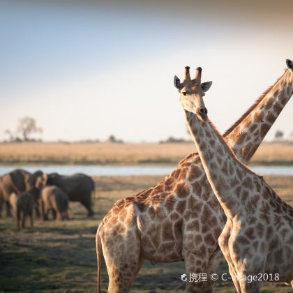 南非10日7晚跟团游