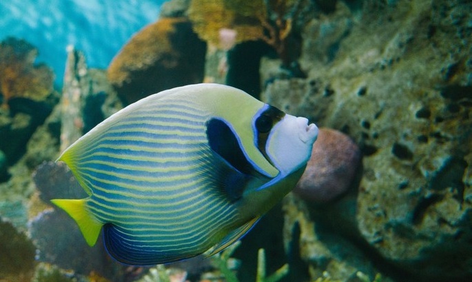 海底世界