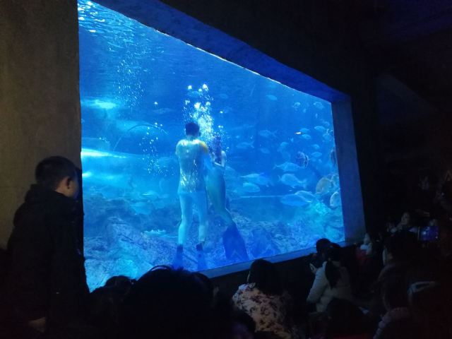 南京海底世界