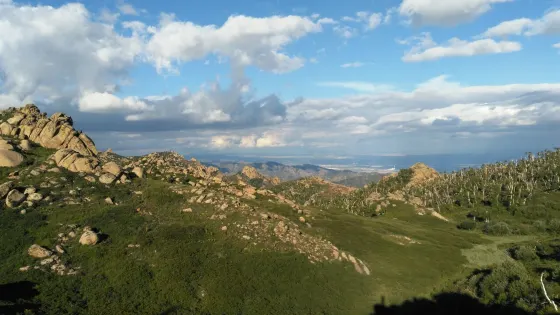 烏拉山國家森林公園