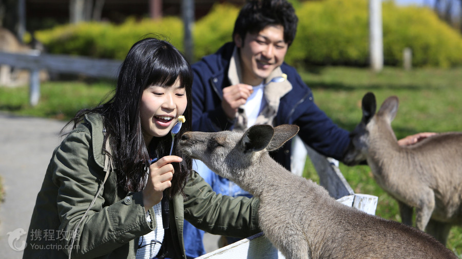 那須動物王國