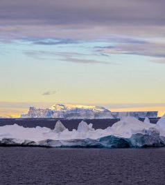南极洲游记图文-南极之美、无与伦比！南极以南、再无远方！2019年春节我终于踏上了南极的土地！