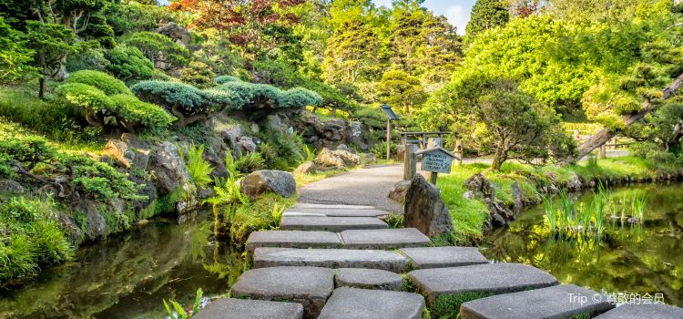 Japanese Tea Garden Travel Guidebook Must Visit Attractions In