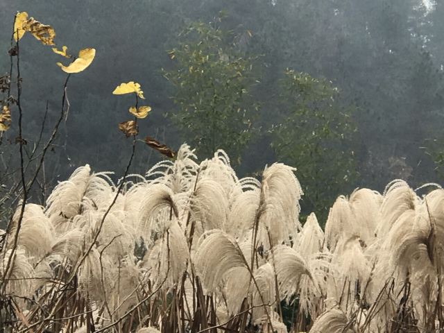 天目山景區