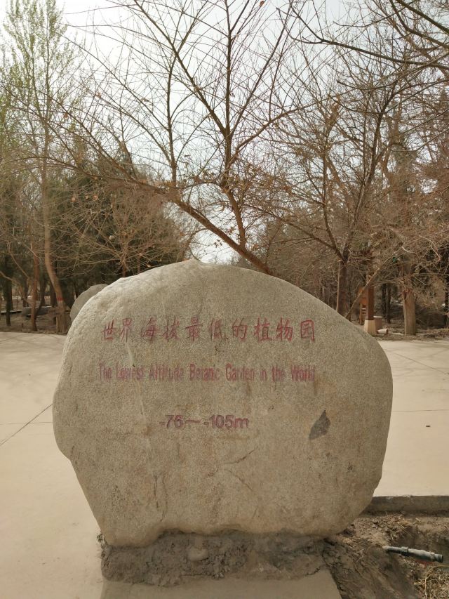 中国科学院吐鲁番沙漠植物园旅行图片 7