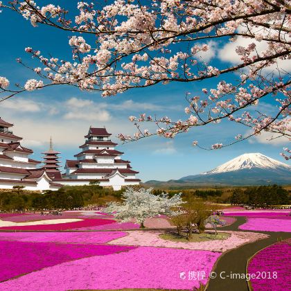 日本8日7晚半自助游