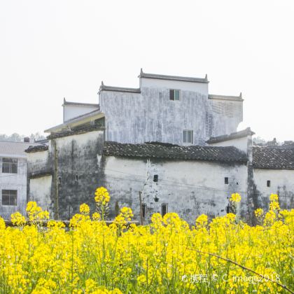 江西南昌+庐山+婺源+三清山+景德镇6日5晚跟团游