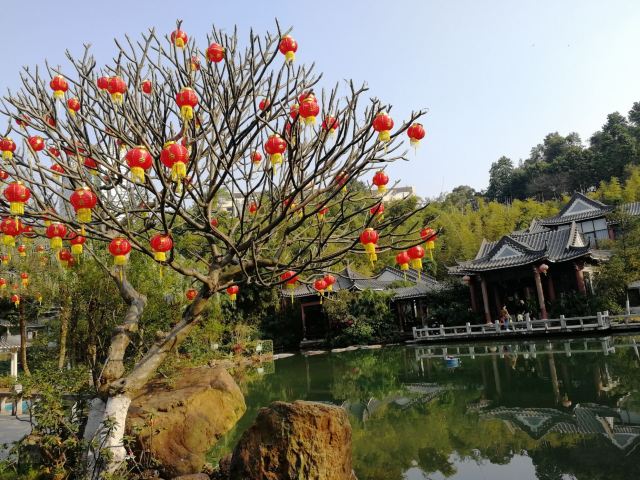 东莞人民公园旅行图片 4